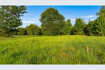 Tract A County Road 43200, Powderly, TX 75473 - Photo 14