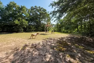10976 US Hwy 80, Fruitvale, TX 75127 - Photo 34