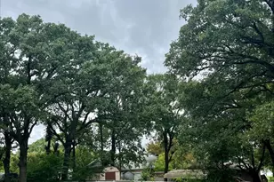405 Kenny Dr, West Tawakoni, TX 75474 - Photo 28