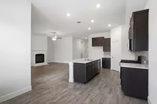 11136 Gold Pan Trail, Aubrey, TX 76227 - Photo 16