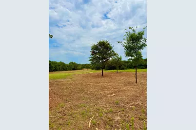 735 County Road 3848, Poolville, TX 76487 - Photo 10