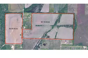 0000 County Road 699, Farmersville, TX 75442 - Photo 1