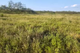 49 Boren Private Rd, Wortham, TX 76693 - Photo 1