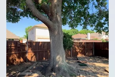 8209 Bells Street, Frisco, TX 75035 - Photo 22