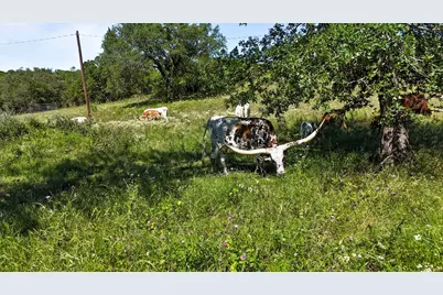 156 Private Road 3626, Springtown, TX 76082 - Photo 30