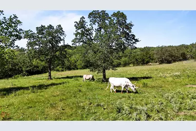 156 Private Road 3626, Springtown, TX 76082 - Photo 24
