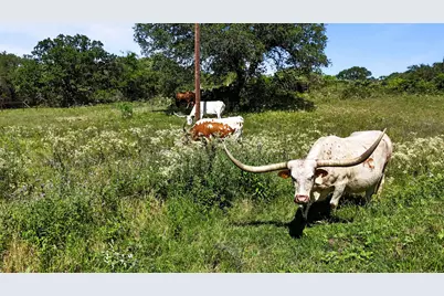 156 Private Road 3626, Springtown, TX 76082 - Photo 34