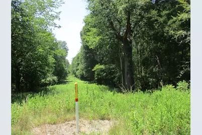 517 Rains County Road 1275, Emory, TX 75440 - Photo 2