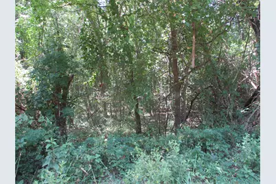 517 Rains County Road 1275, Emory, TX 75440 - Photo 4