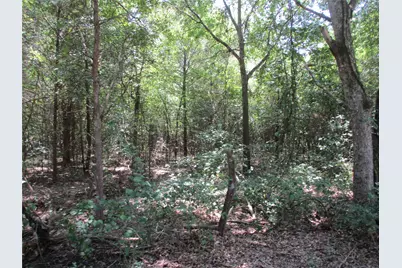 517 Rains County Road 1275, Emory, TX 75440 - Photo 10