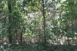 517 Rains County Road 1275, Emory, TX 75440 - Photo 1