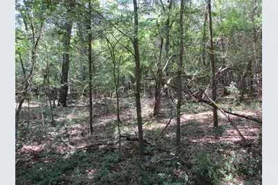 517 Rains County Road 1275, Emory, TX 75440 - Photo 8