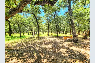 286 Cr 271, Abilene, TX 79562 - Photo 6