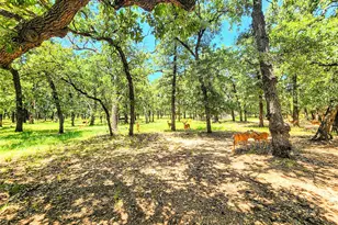 286 Cr 271, Abilene, TX 79562 - Photo 6