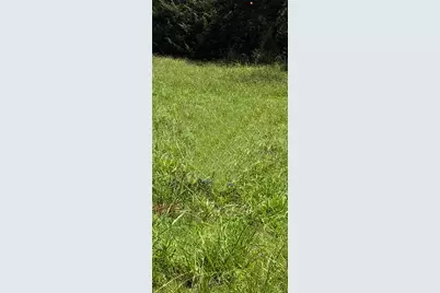1204 Williamsburg Road, Greenville, TX 75401 - Photo 2