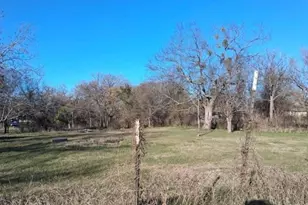 8163 Lady Bird, Kemp, TX 75143 - Photo 2