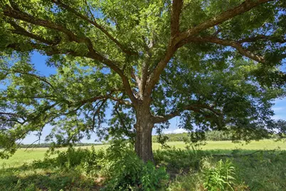 Tbd Fm 216 #89, Iredell, TX 76649 - Photo 16