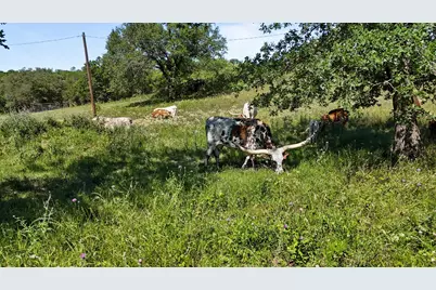 156 Pr 3626, Springtown, TX 76082 - Photo 28