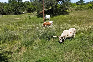156 Pr 3626, Springtown, TX 76082 - Photo 32