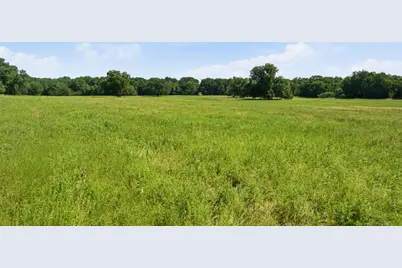 Tbd Fm 216 #45, Iredell, TX 76649 - Photo 14