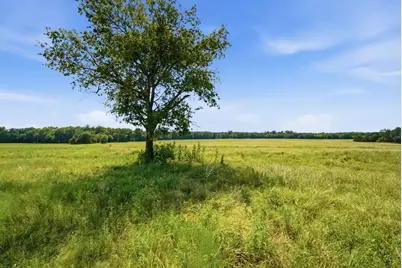 Tbd Fm 216 #45, Iredell, TX 76649 - Photo 12