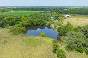 301 Co Rd 193, Carbon, TX 76435 - Photo 26