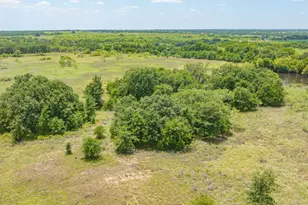 301 Co Rd 193, Carbon, TX 76435 - Photo 34