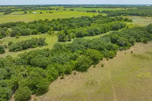 301 Co Rd 193, Carbon, TX 76435 - Photo 10