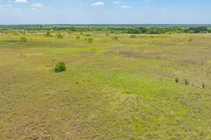 301 Co Rd 193, Carbon, TX 76435 - Photo 12