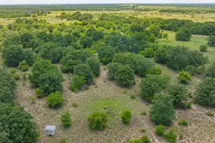 301 Co Rd 193, Carbon, TX 76435 - Photo 14