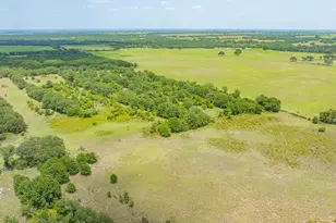 301 Co Rd 193, Carbon, TX 76435 - Photo 20
