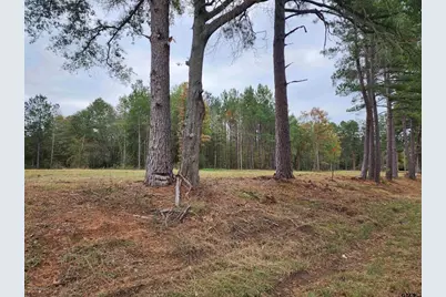 14386 County Road 363, Winona, TX 75792 - Photo 10