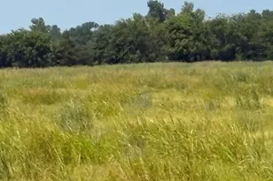 Tbd County Road 3020, Bonham, TX 75418 - Photo 1