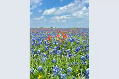 Lot 2 Fm-879, Ennis, TX 75152 - Photo 4