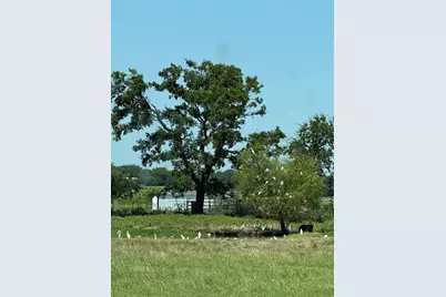 1707 Fm 902, Gainesville, TX 76240 - Photo 12