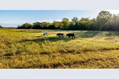Ranch 28, County Road 208, Hico, TX 76457 - Photo 8