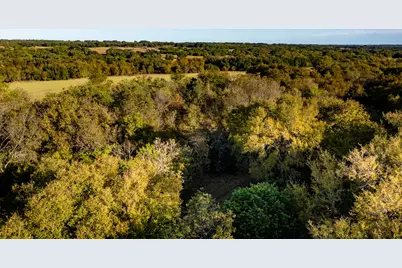 Ranch 28, County Road 208, Hico, TX 76457 - Photo 22