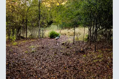 Ranch 28, County Road 208, Hico, TX 76457 - Photo 16