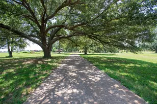 7470 Fm 317, Athens, TX 75752 - Photo 1