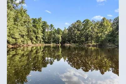 1081 County Road 3875, Mineola, TX 75773 - Photo 6