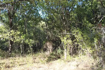 000 Eureka School Road, Nocona, TX 76255 - Photo 2