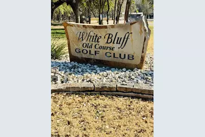 24019 Wood Hollow Drive, Whitney, TX 76692 - Photo 10