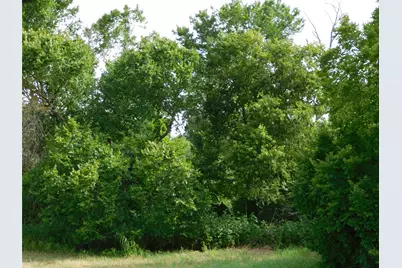 Tbd Fm 2114, Hubbard, TX 76648 - Photo 6