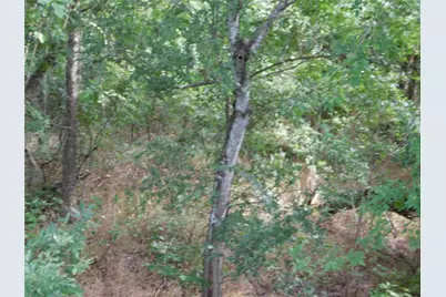 Tbd Fm 2114, Hubbard, TX 76648 - Photo 8