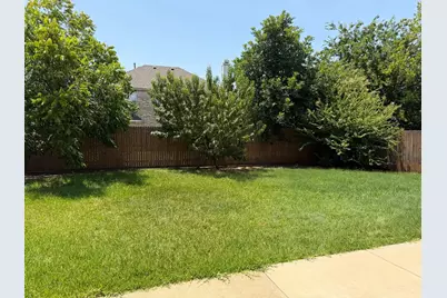 3104 Deleon Drive, Plano, TX 75025 - Photo 36