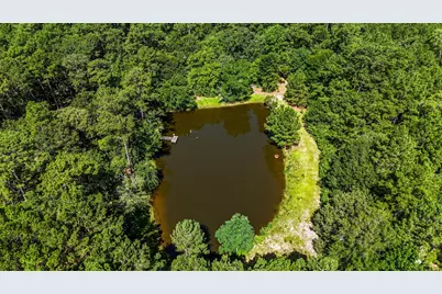 19359 Forest Road 219, Richards, TX 77873 - Photo 2