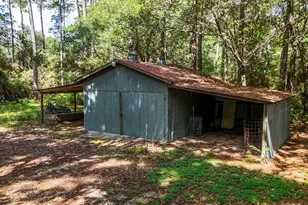 19359 Forest Rd 219, Richards, TX 77873 - Photo 30