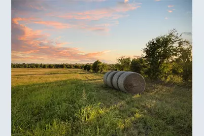 1549 Fm 219, Clifton, TX 76634 - Photo 8