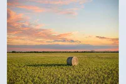 1549 Fm 219, Clifton, TX 76634 - Photo 6
