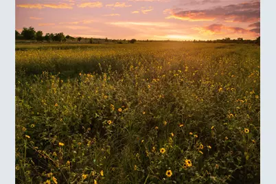 1549 Fm 219, Clifton, TX 76634 - Photo 24